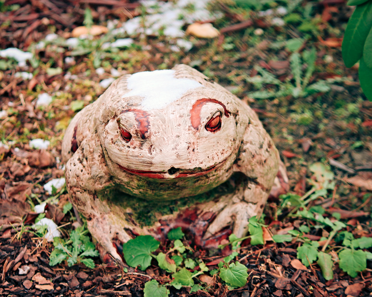 Frosch aus Bastelbeton